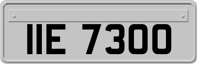 IIE7300