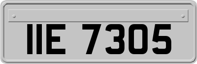 IIE7305