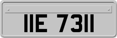 IIE7311