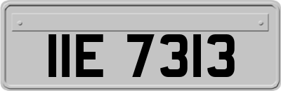 IIE7313