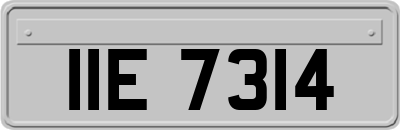 IIE7314
