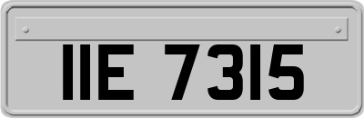 IIE7315