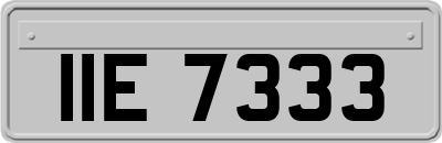 IIE7333
