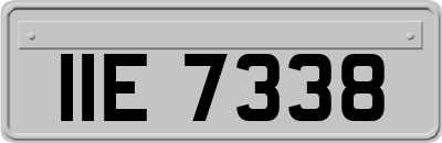 IIE7338