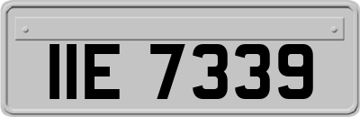 IIE7339