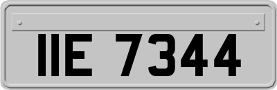IIE7344