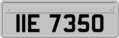 IIE7350