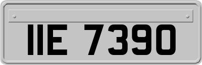 IIE7390