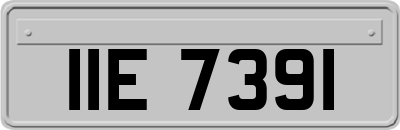 IIE7391