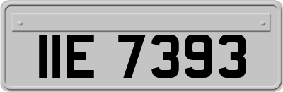IIE7393