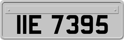 IIE7395
