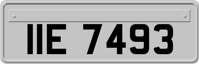 IIE7493