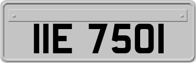 IIE7501