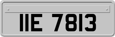 IIE7813