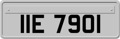 IIE7901