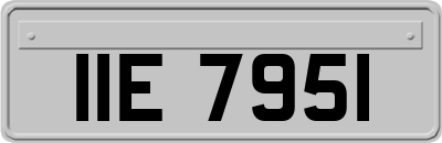 IIE7951
