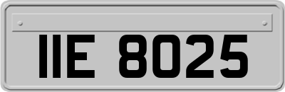 IIE8025