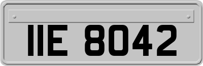 IIE8042