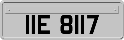 IIE8117