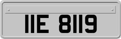 IIE8119