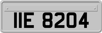 IIE8204