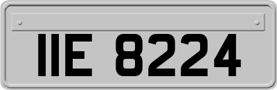 IIE8224