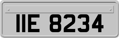 IIE8234