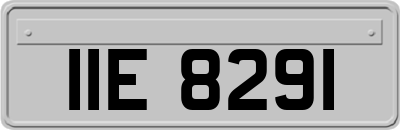 IIE8291