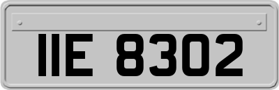 IIE8302