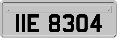 IIE8304