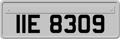 IIE8309