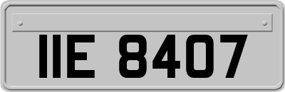 IIE8407