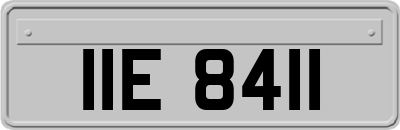IIE8411