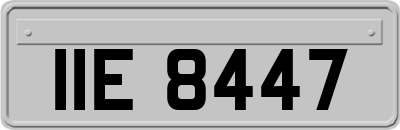 IIE8447