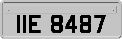 IIE8487