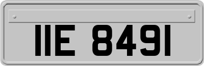 IIE8491