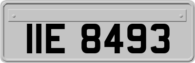 IIE8493