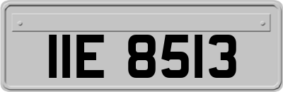 IIE8513