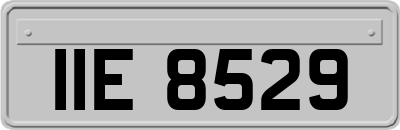 IIE8529