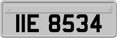IIE8534