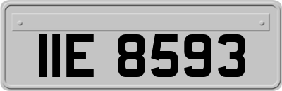 IIE8593