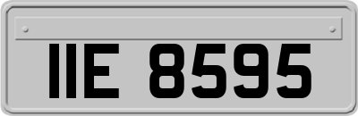IIE8595