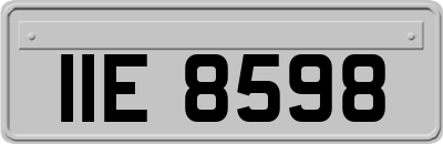 IIE8598