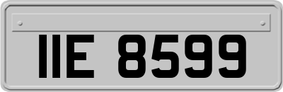 IIE8599