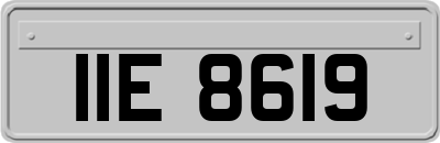 IIE8619