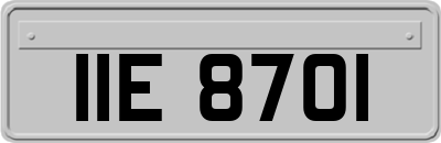IIE8701