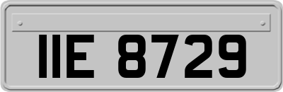 IIE8729
