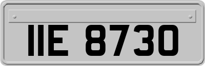 IIE8730