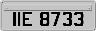 IIE8733