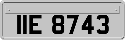 IIE8743
